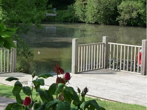 Spindlewood Country Holiday Park - Caravan Park Χέιστινγκς Εξωτερικό φωτογραφία